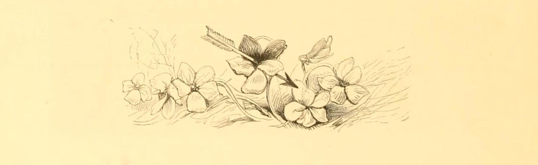 midsummernightsd01shak_0036 (1)